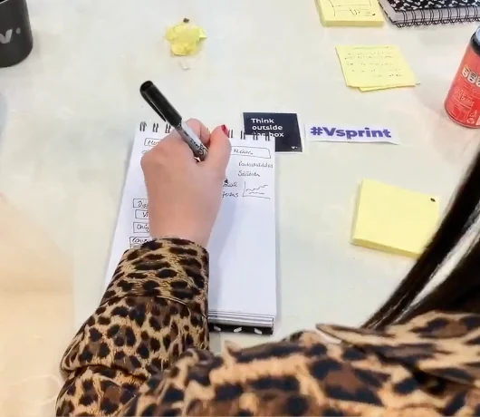 Validation sprint